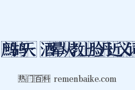 鹧鸪天·酒晕从教上脸丹近义词是什么意思的图片